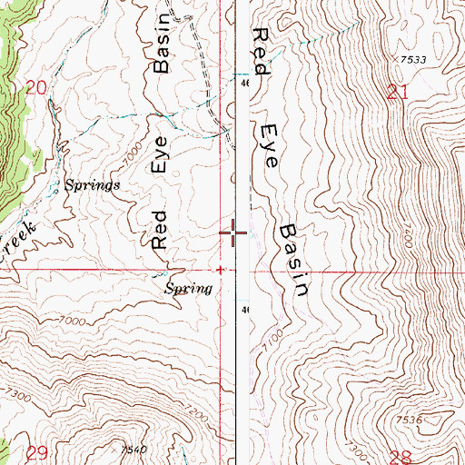 Topographic Map of Red Eye Basin, WY