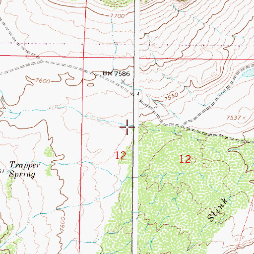 Topographic Map of Red Mountain Spring Creek, WY