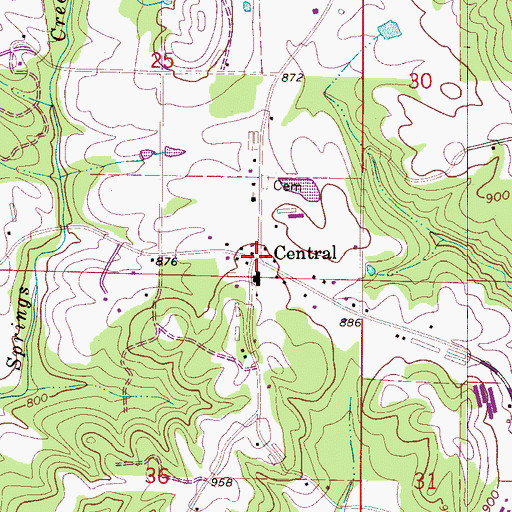 Topographic Map of Central, AL