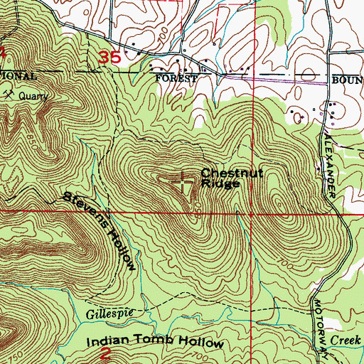 Topographic Map of Chestnut Ridge, AL