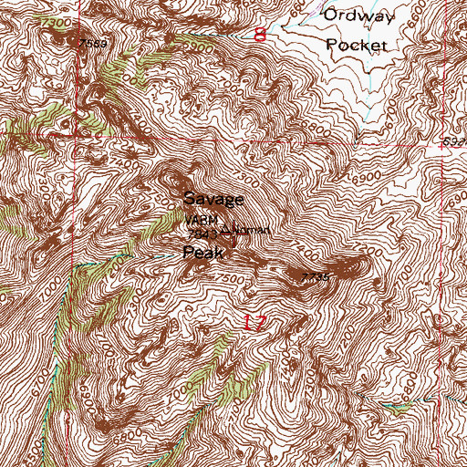 Topographic Map of Savage Peak, WY