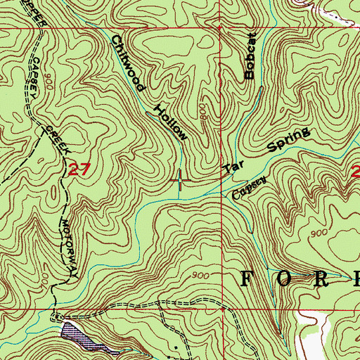 Topographic Map of Chitwood Hollow, AL