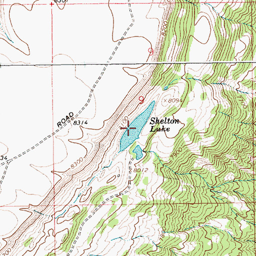 Topographic Map of Shelton Lake, WY