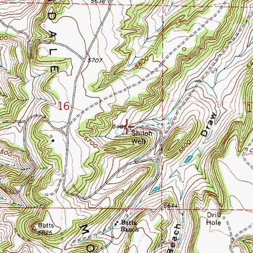 Topographic Map of Shiloh Well, WY