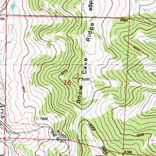 Topographic Map of Snow Cave Ridge, WY