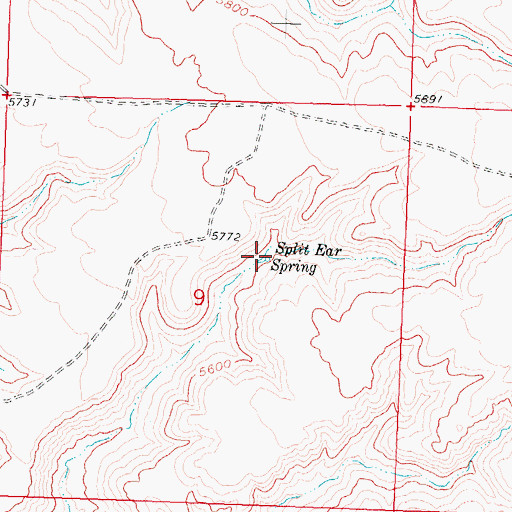 Topographic Map of Split Ear Spring, WY