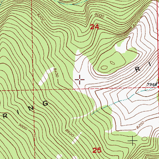 Topographic Map of Spring Ridge, WY