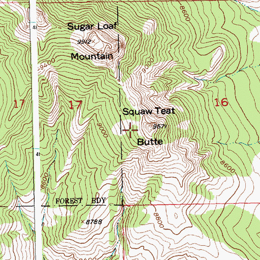 Topographic Map of Squaw Teat Butte, WY