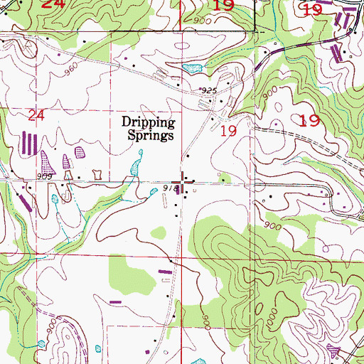 Topographic Map of Dripping Springs, AL