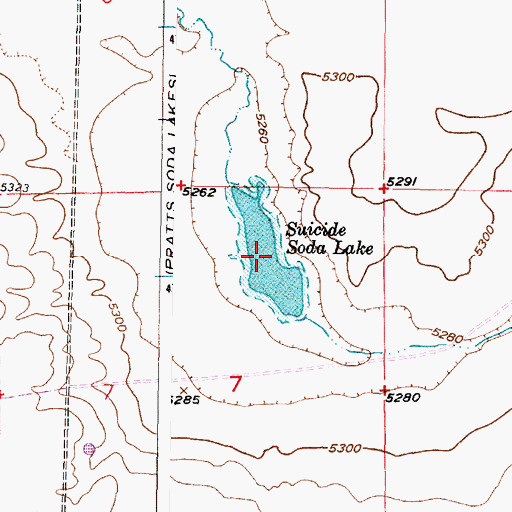 Topographic Map of Suicide Soda Lake, WY