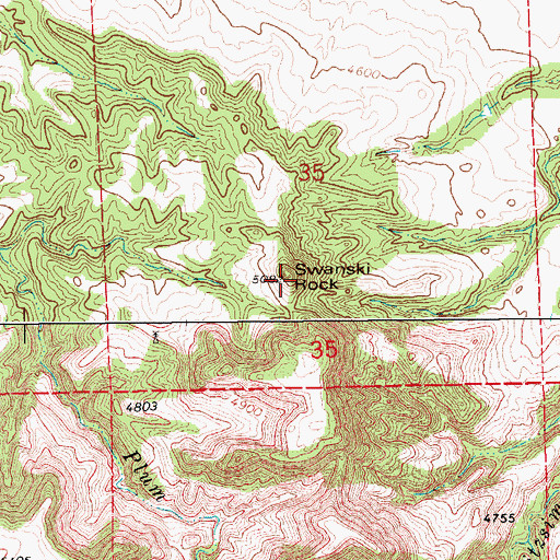 Topographic Map of Swanski Rock, WY
