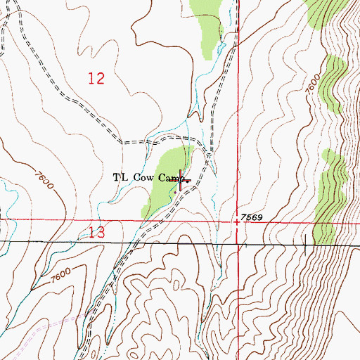 Topographic Map of T L Cow Camp, WY