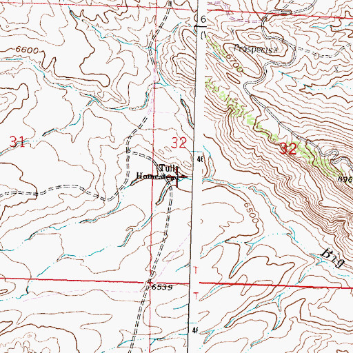 Topographic Map of Tilly Homestead, WY