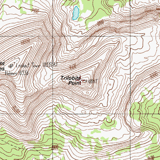 Topographic Map of Trilobite Point, WY