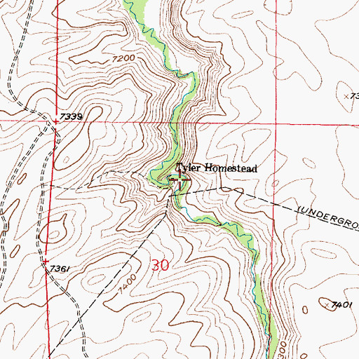 Topographic Map of Tyler Homestead, WY