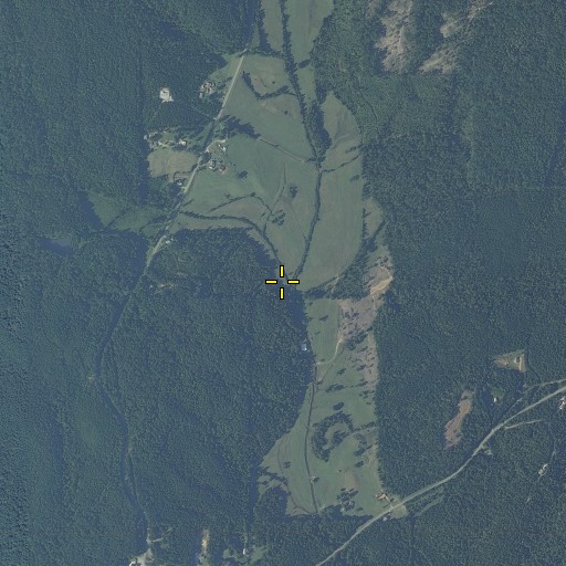 Aerial/Satellite Image of Fall Branch, AL