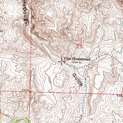 Topographic Map of Vide Homestead, WY