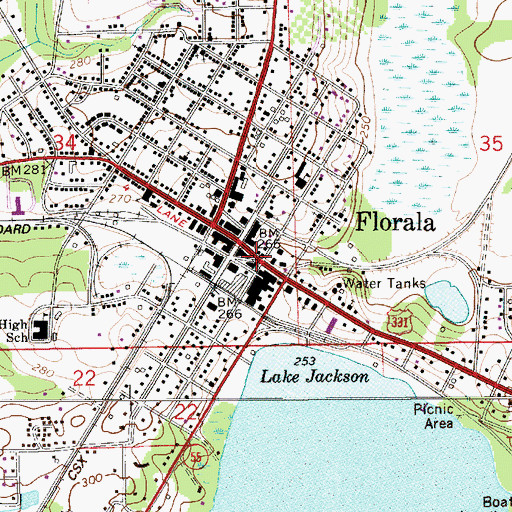 Topographic Map of Florala, AL