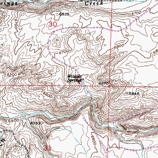 Topographic Map of Wildcat Springs, WY