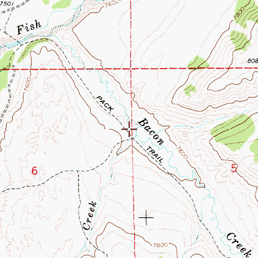 Topographic Map of Wolf Gulch, WY