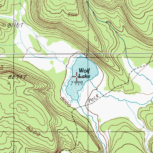 Topographic Map of Wolf Lake, WY