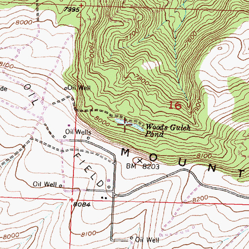 Topographic Map of Woods Gulch Pond, WY