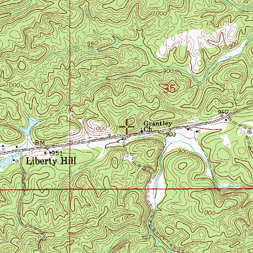 Topographic Map of Grantley Church, AL