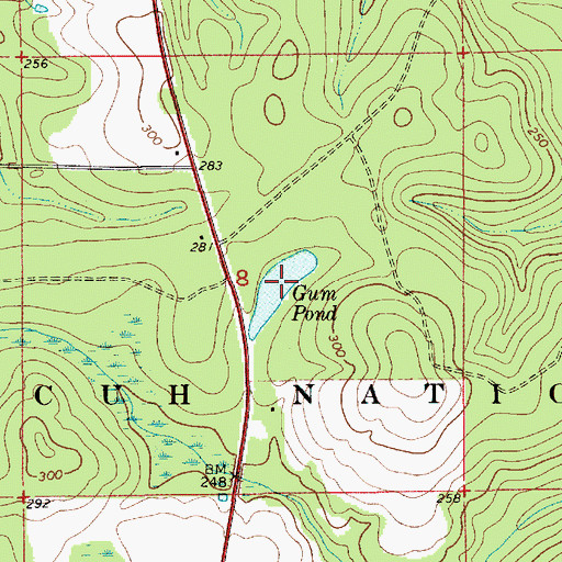 Topographic Map of Gum Pond, AL