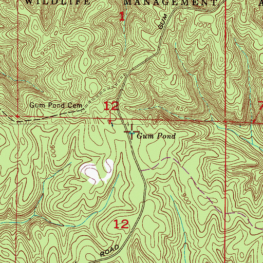Topographic Map of Gum Pond, AL