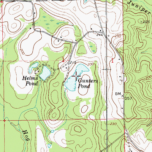 Topographic Map of Gunters Pond, AL