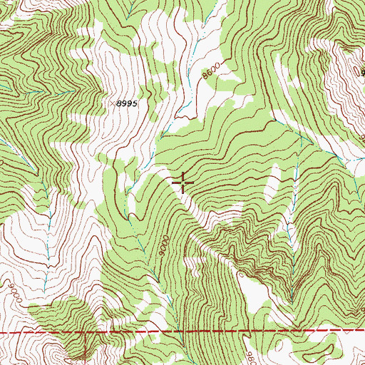 Topographic Map of Teton National Forest, WY