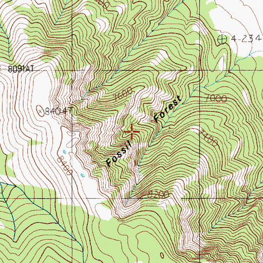 Topographic Map of Fossil Forest, WY