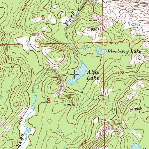 Topographic Map of Alice Lake, WY