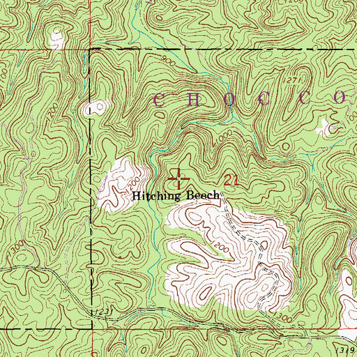 Topographic Map of Hitching Beech, AL