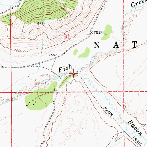 Topographic Map of Bacon Creek, WY