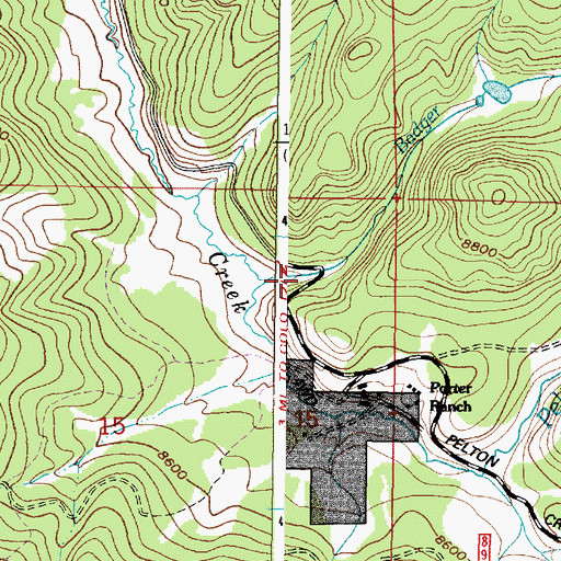 Topographic Map of Badger Creek, WY