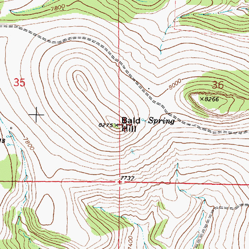 Topographic Map of Bald Hill, WY