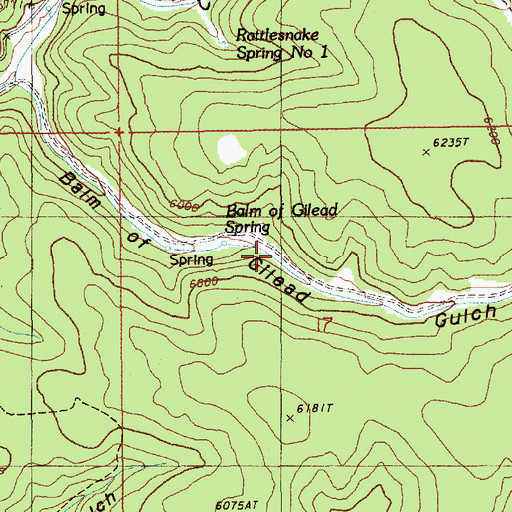 Topographic Map of Balm of Gilead Spring, WY