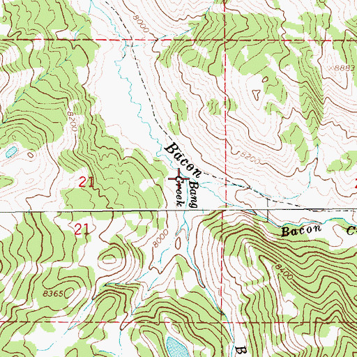 Topographic Map of Bang Creek, WY