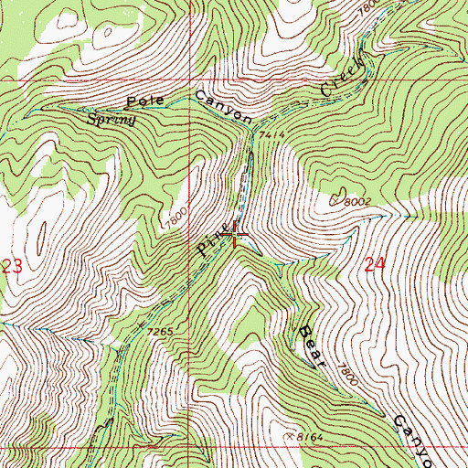 Topographic Map of Bear Canyon, WY