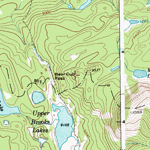 Topographic Map of Bear Cub Pass, WY