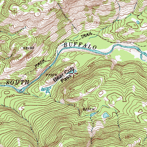 Topographic Map of Bear Cub Pass, WY