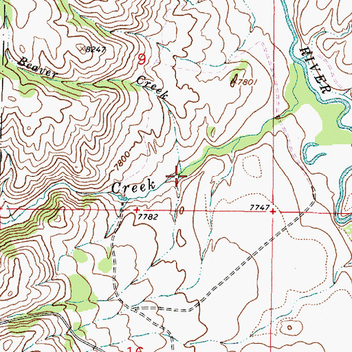Topographic Map of Beaver Creek, WY