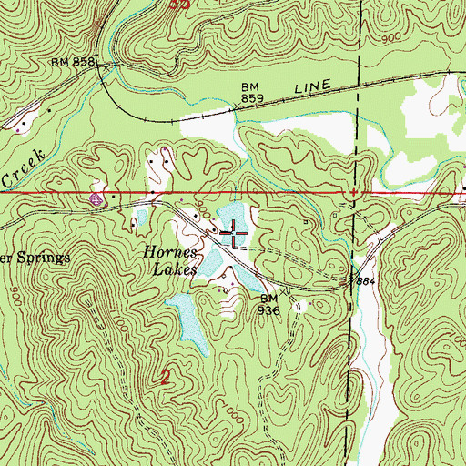 Topographic Map of Hornes Lakes, AL