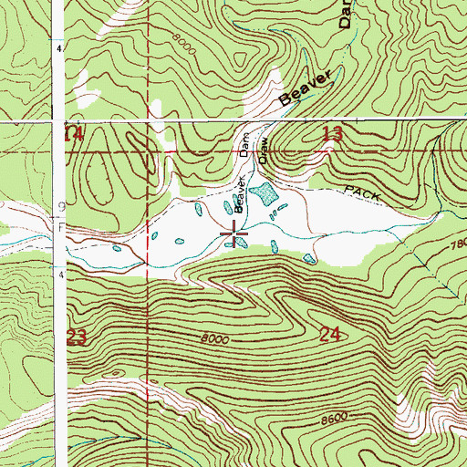 Topographic Map of Beaver Dam Draw, WY