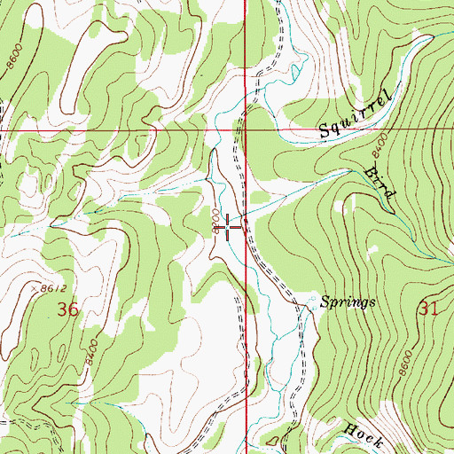 Topographic Map of Bird Creek, WY