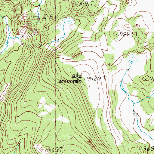 Topographic Map of Bird Mountain, WY