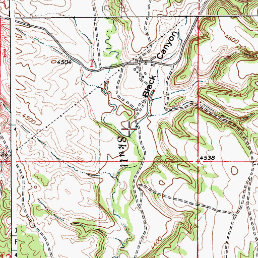 Topographic Map of Black Canyon, WY