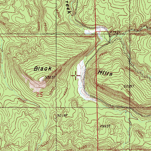 Topographic Map of Black Hills, WY
