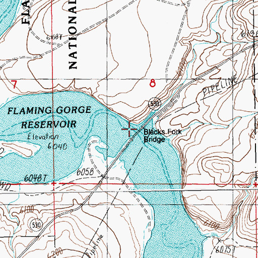 Topographic Map of Blacks Fork Bridge, WY